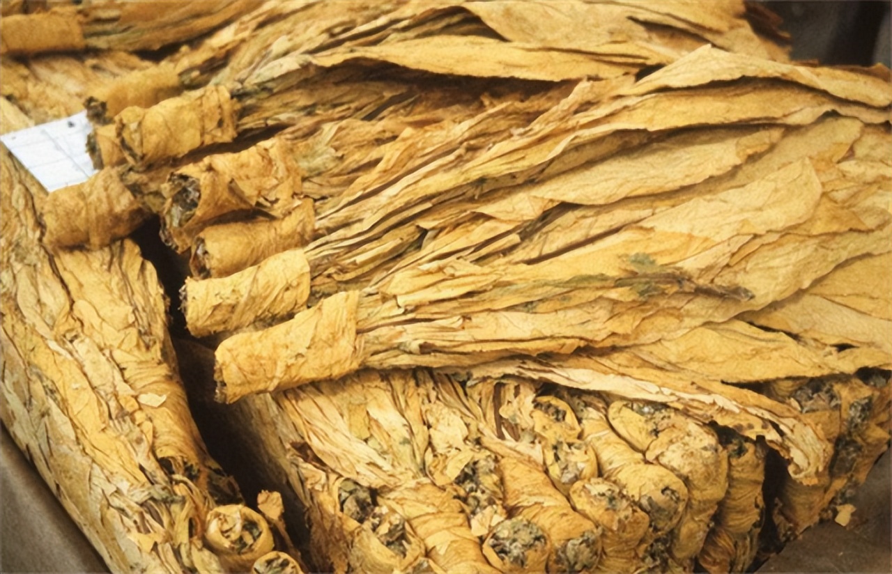 草烟的好处,草烟坏处