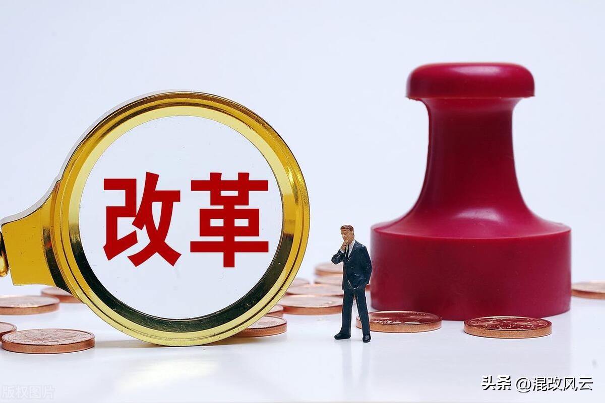 国有资本投资运营方式,国有资产投资公司怎么运作