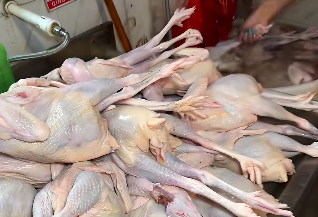 青岛1米8女模特,1米80美女模特