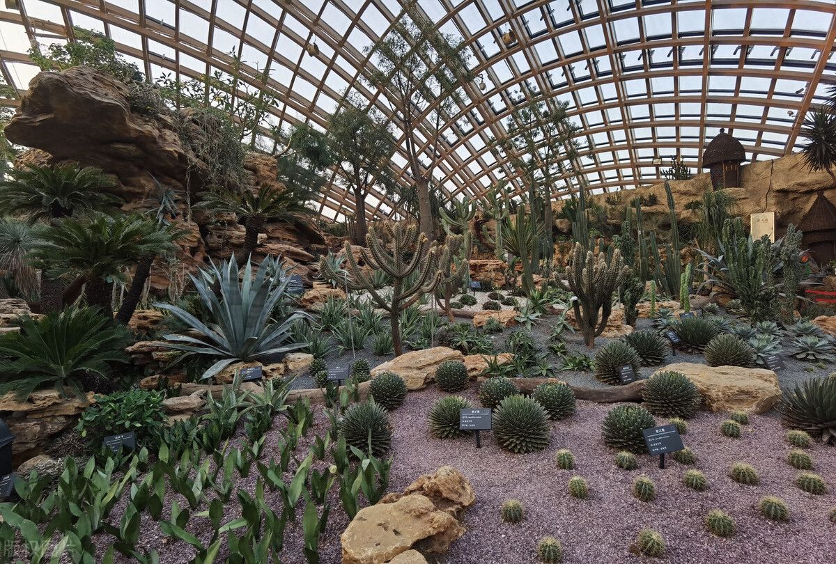 六一儿童节必打卡乐园推荐,儿童节打卡的好去处