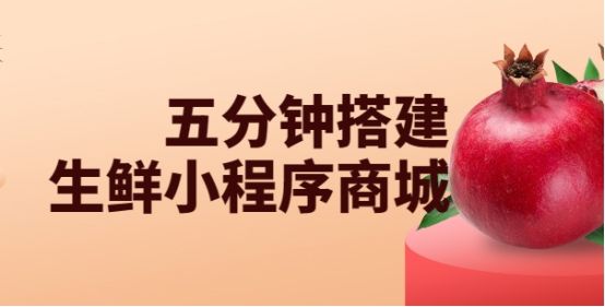 如何快速制作小程序商城,生鲜小程序商城搭建