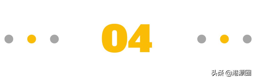 我从内地偷渡到香港的宠物，半路被水警抓走了