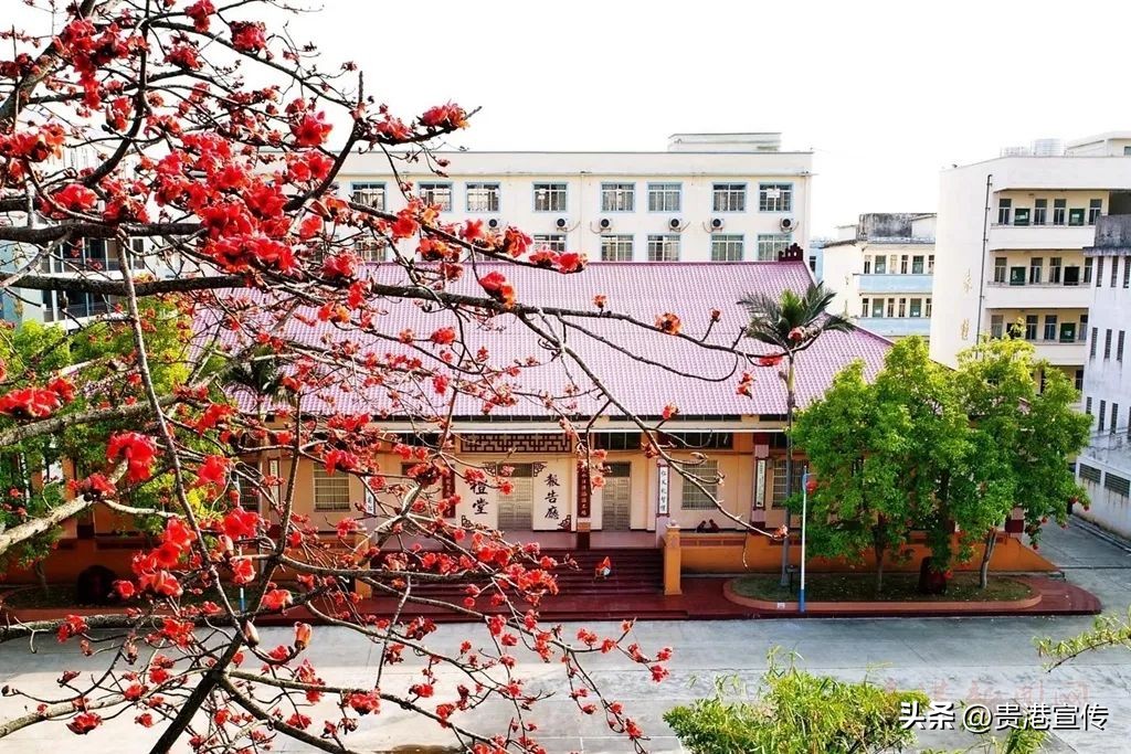 你好大安,大安高中联系方式