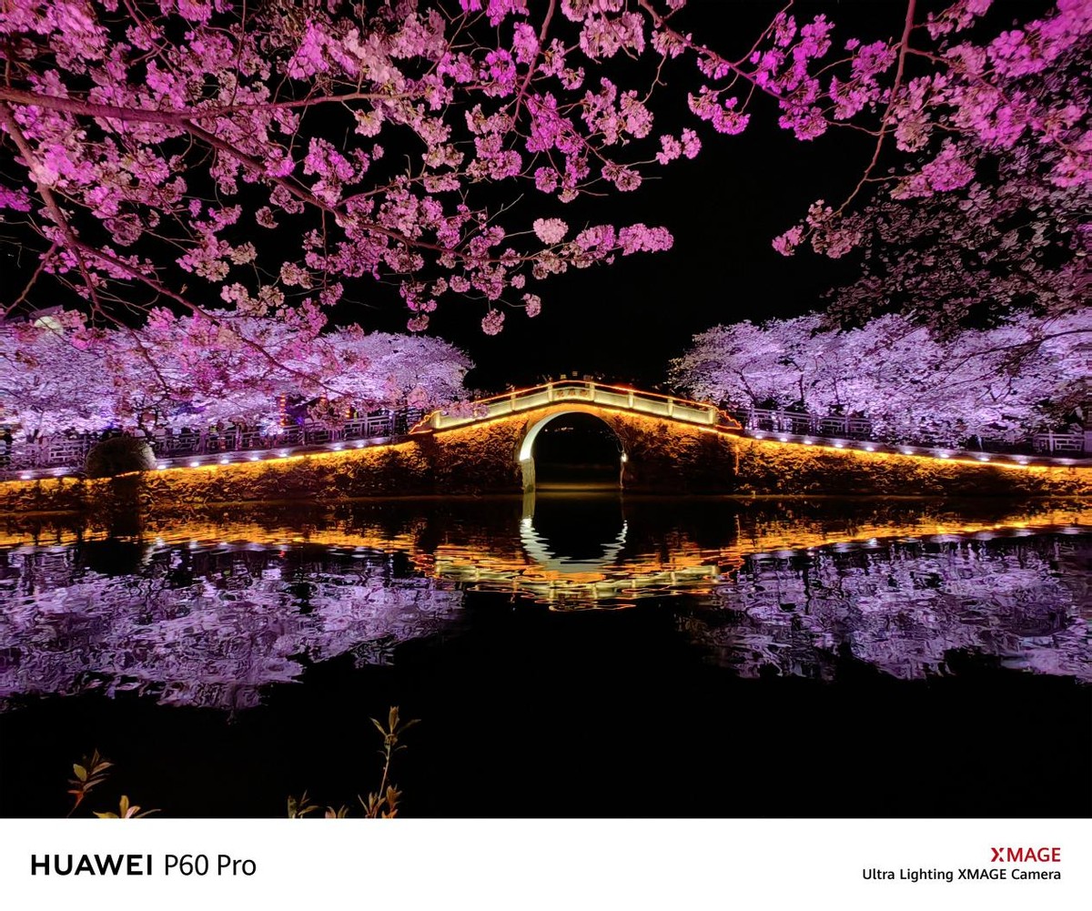 华为p60和p60pro长焦实拍对比,华为p60pro超聚光主摄实拍展示