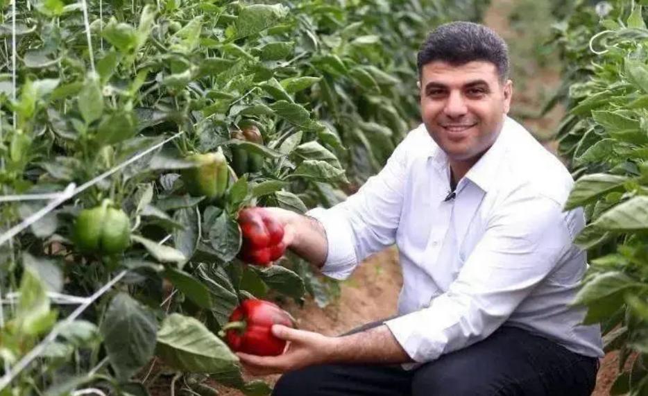 卡塔尔世界杯花了2200亿美元,卡塔尔世界杯农业