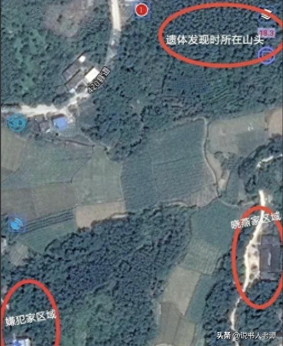 广西百香果女孩被杀害案件,广西女子被割喉案件