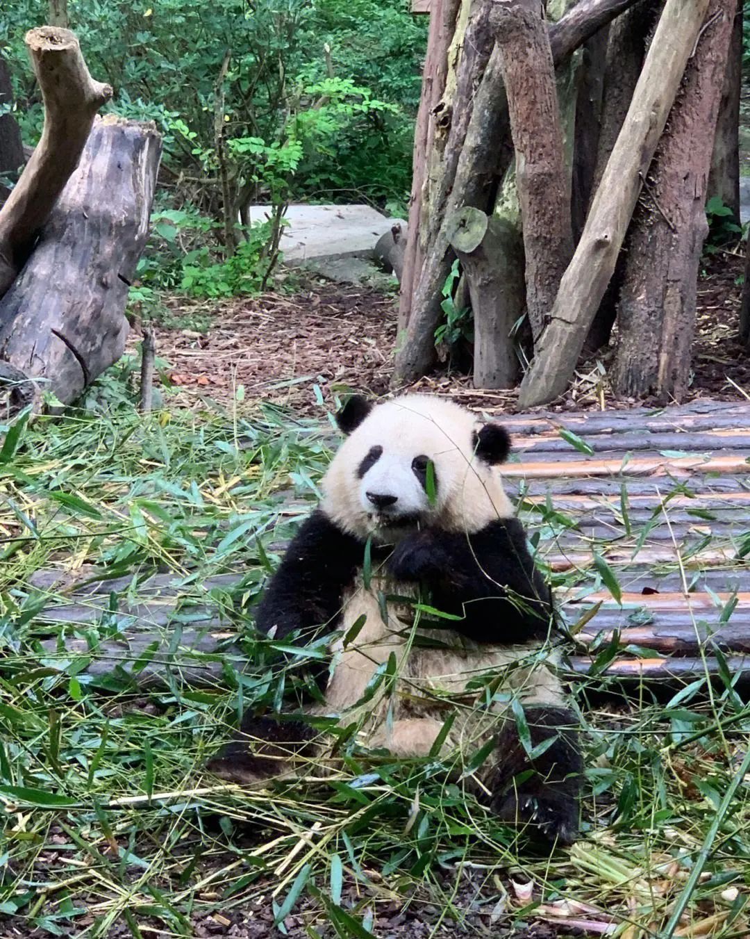 来看看贵安周边的美景,贵安最值得去的景点