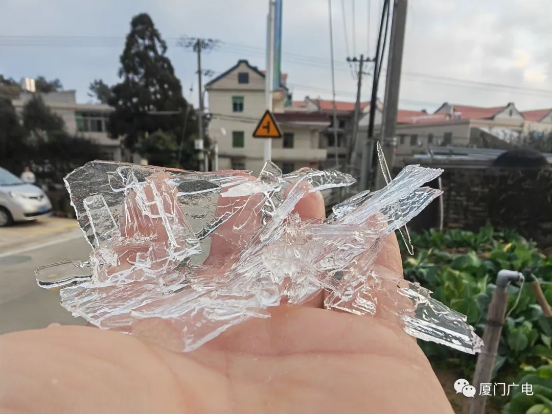 春节厦门,春节去厦门