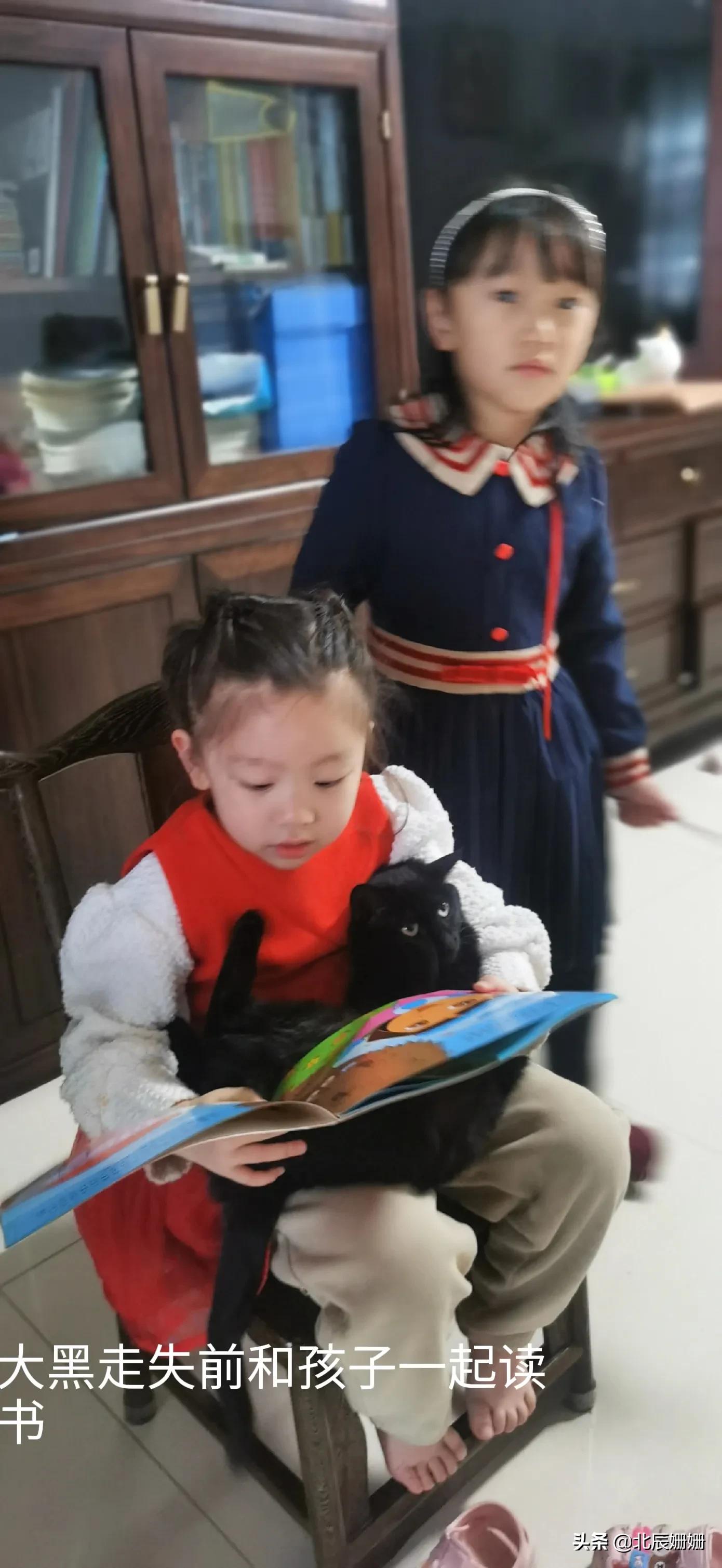 真假黑猫警长全文,真假黑猫警长完整版