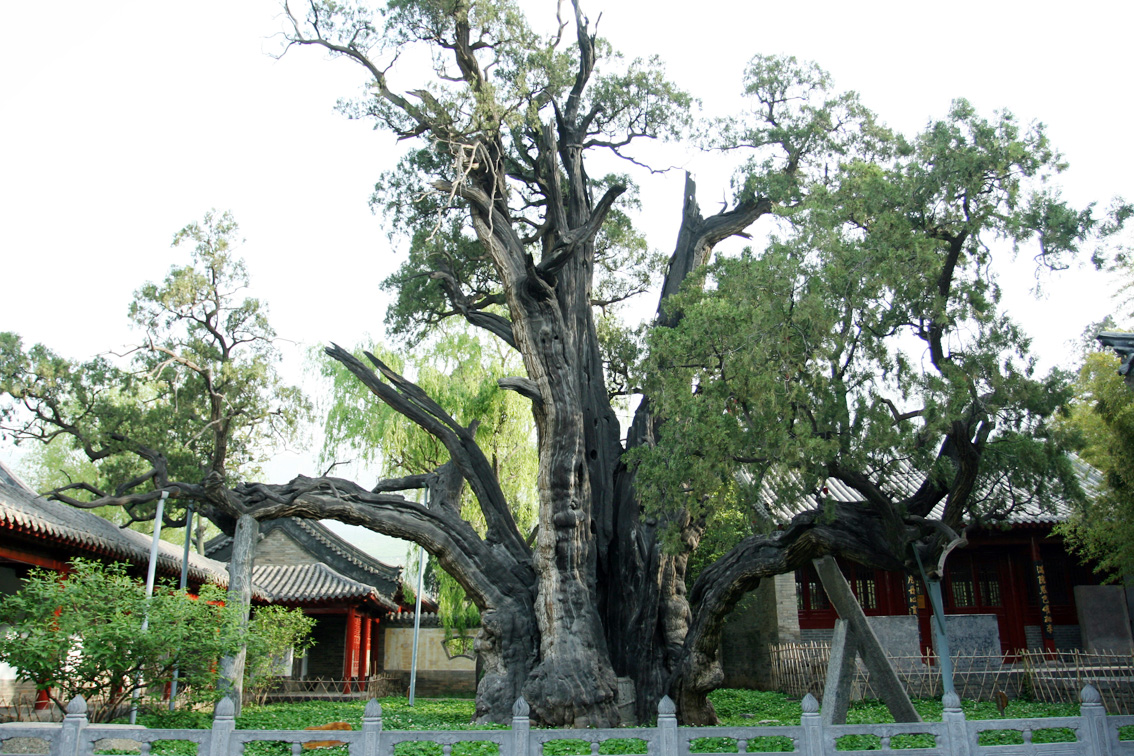 郑州登封天地之中历史建筑简介,登封的历史建筑有哪些