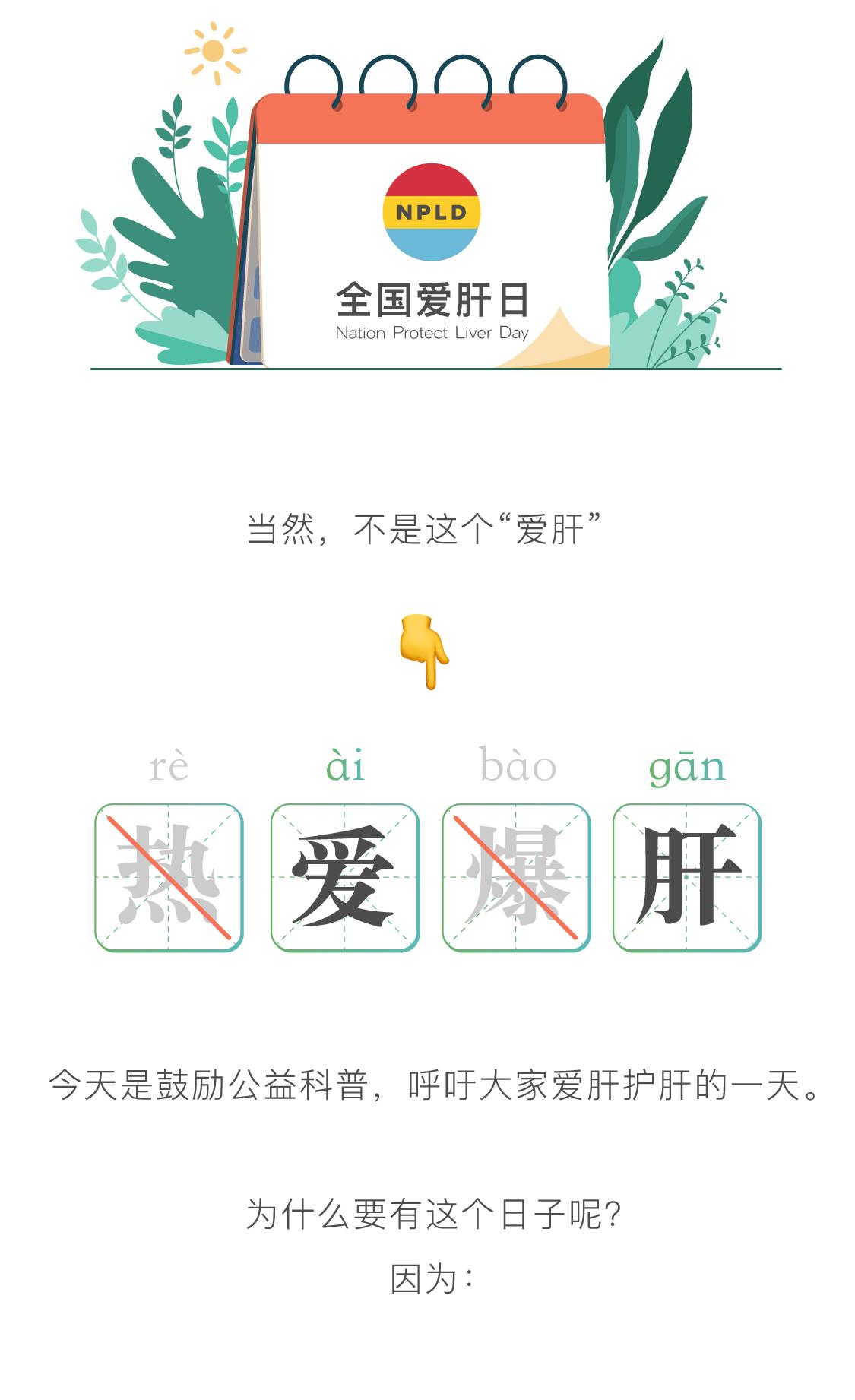 爆肝近一年全过程,我们的肝长什么样子