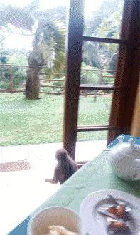 女朋友说她不能穿比较紧的衣服，我瞬间就懂了，效果原来是这样的