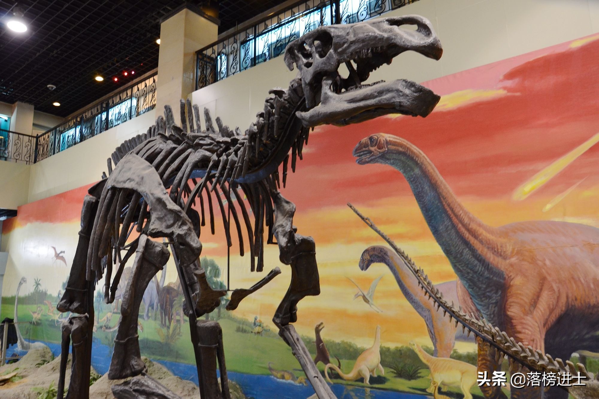石家庄哪个博物馆里有恐龙化石,石家庄博物馆里有恐龙化石吗
