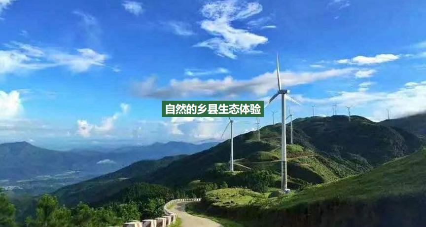 骞垮窞鍟嗕笟缇庨檲娲诲姩绛栧垝鍝涓撲笟,璐墿涓績鏄ュ缇庨檲娲诲姩鏂规