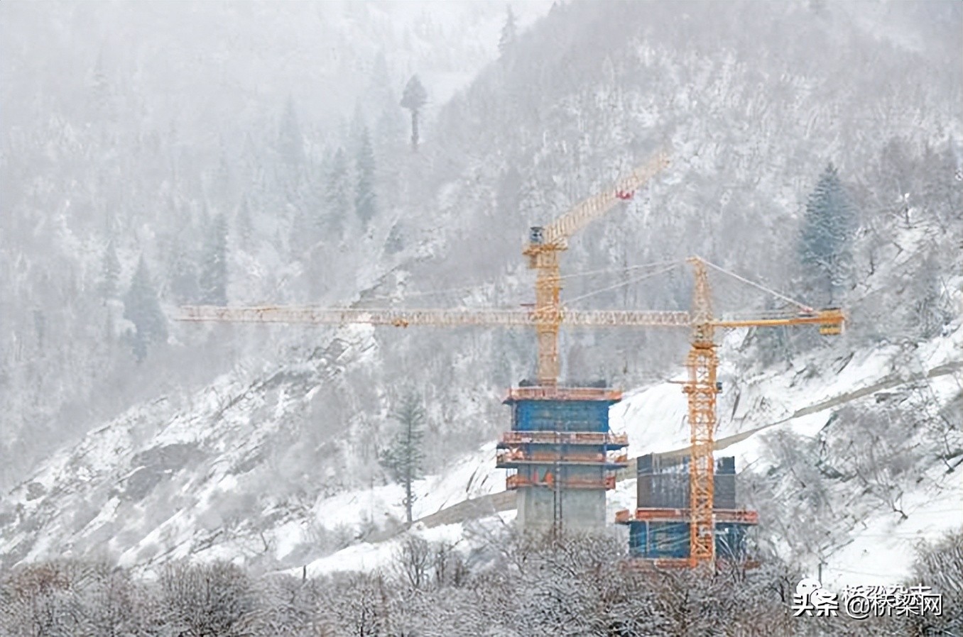 桥梁大事：双统筹双胜利！深中通道S08合同段E25管节预制浇筑完成