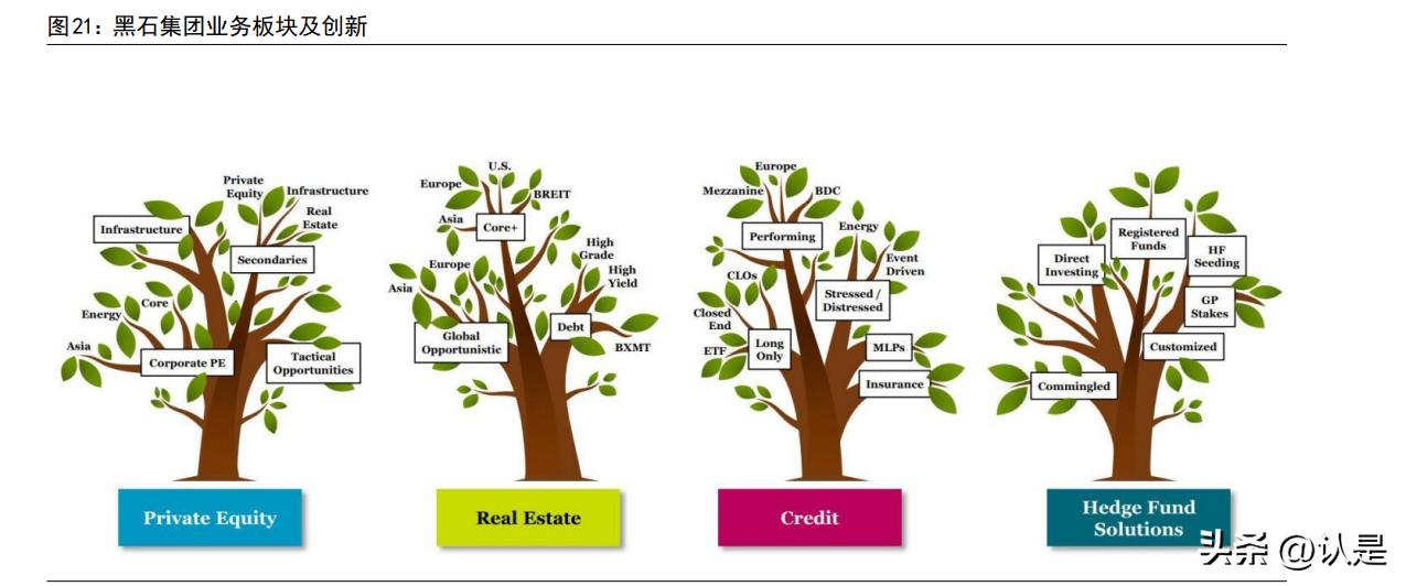 璐㈠瘜绠＄悊鐮旂┒鎶ュ憡,榛戠煶璐㈠瘜绠＄悊