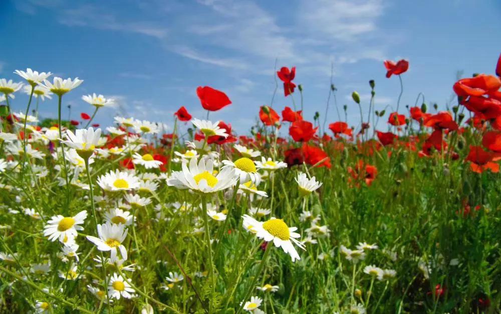 人生就是一场旅行呀,人生就是一场旅行完整版