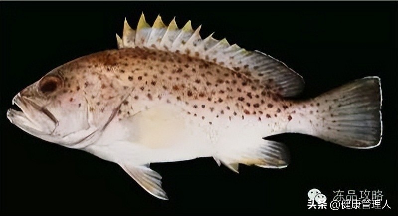 美容护肤食疗方案,美容护肤养生介绍