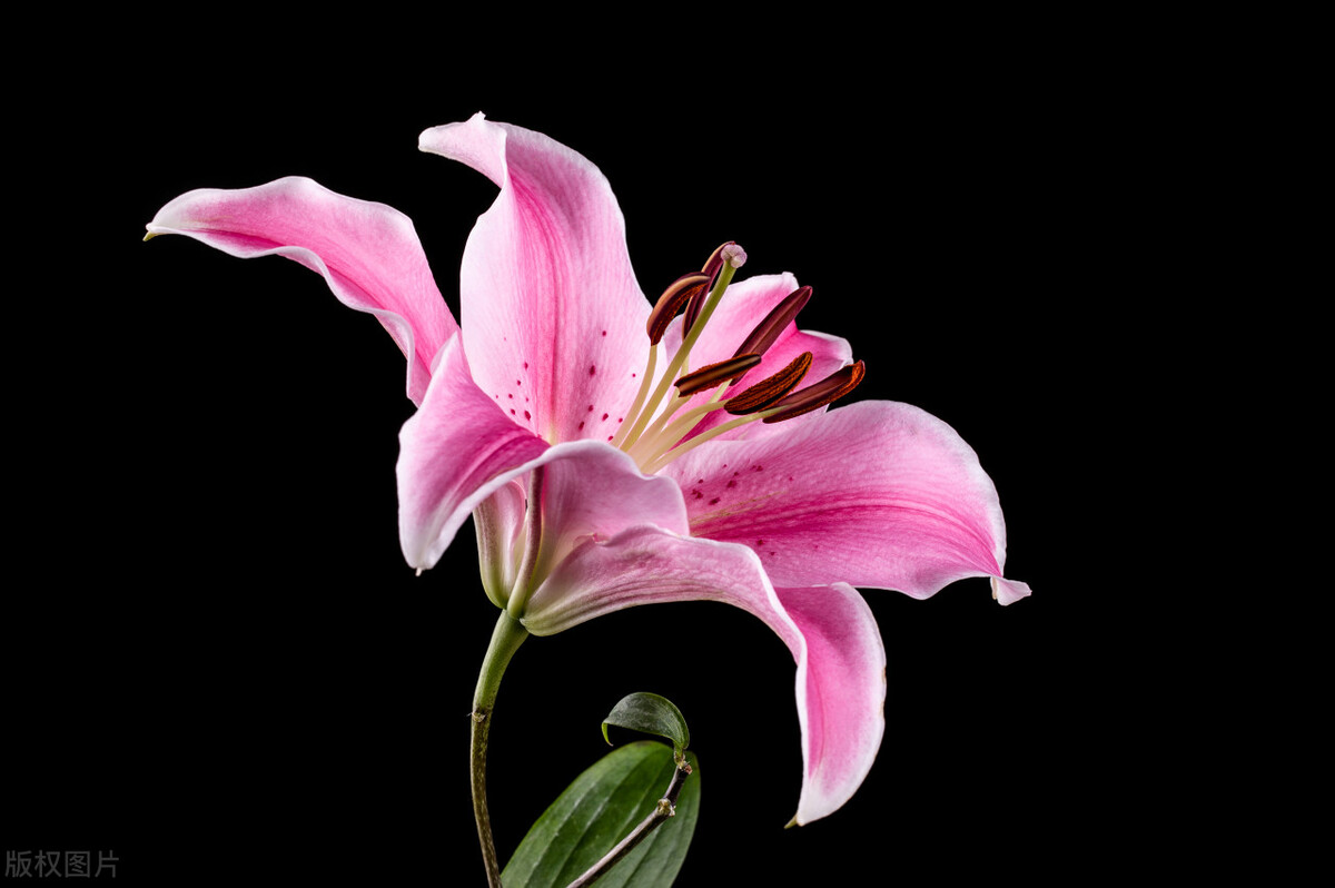 为什么对别人越好别人越不尊重,为什么你对别人好反而不尊重你