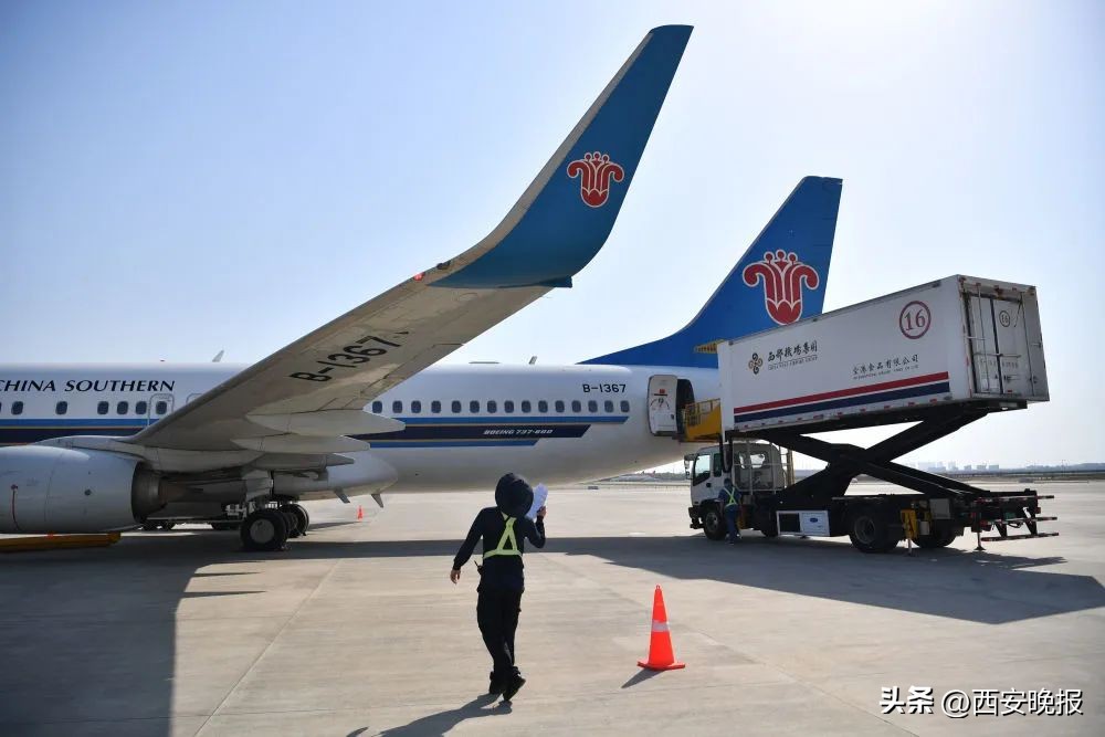 新华社中国经济增长,西安新华社西北分社