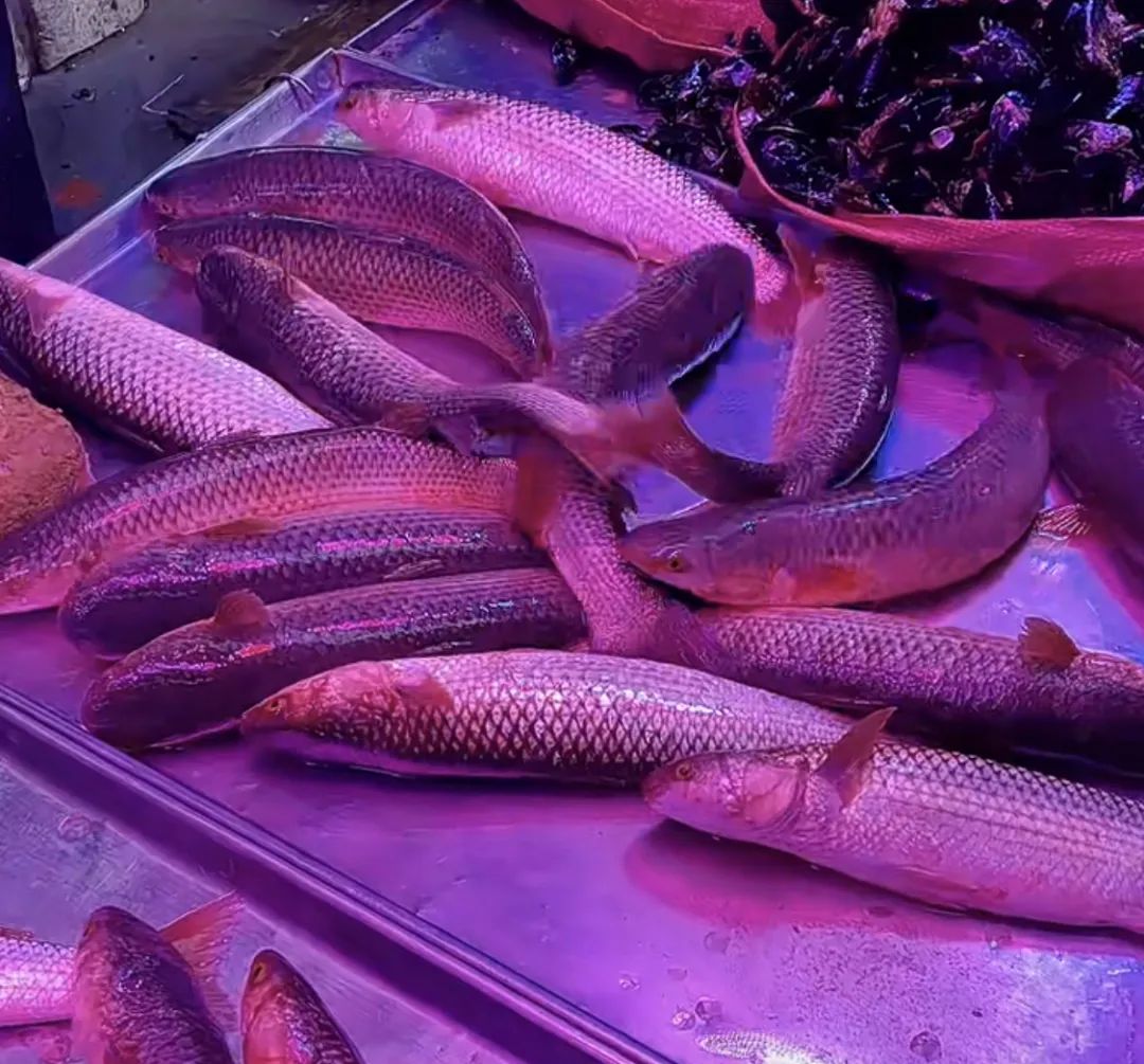 秦皇岛冰凉爽口的美食,秦皇岛春季菜