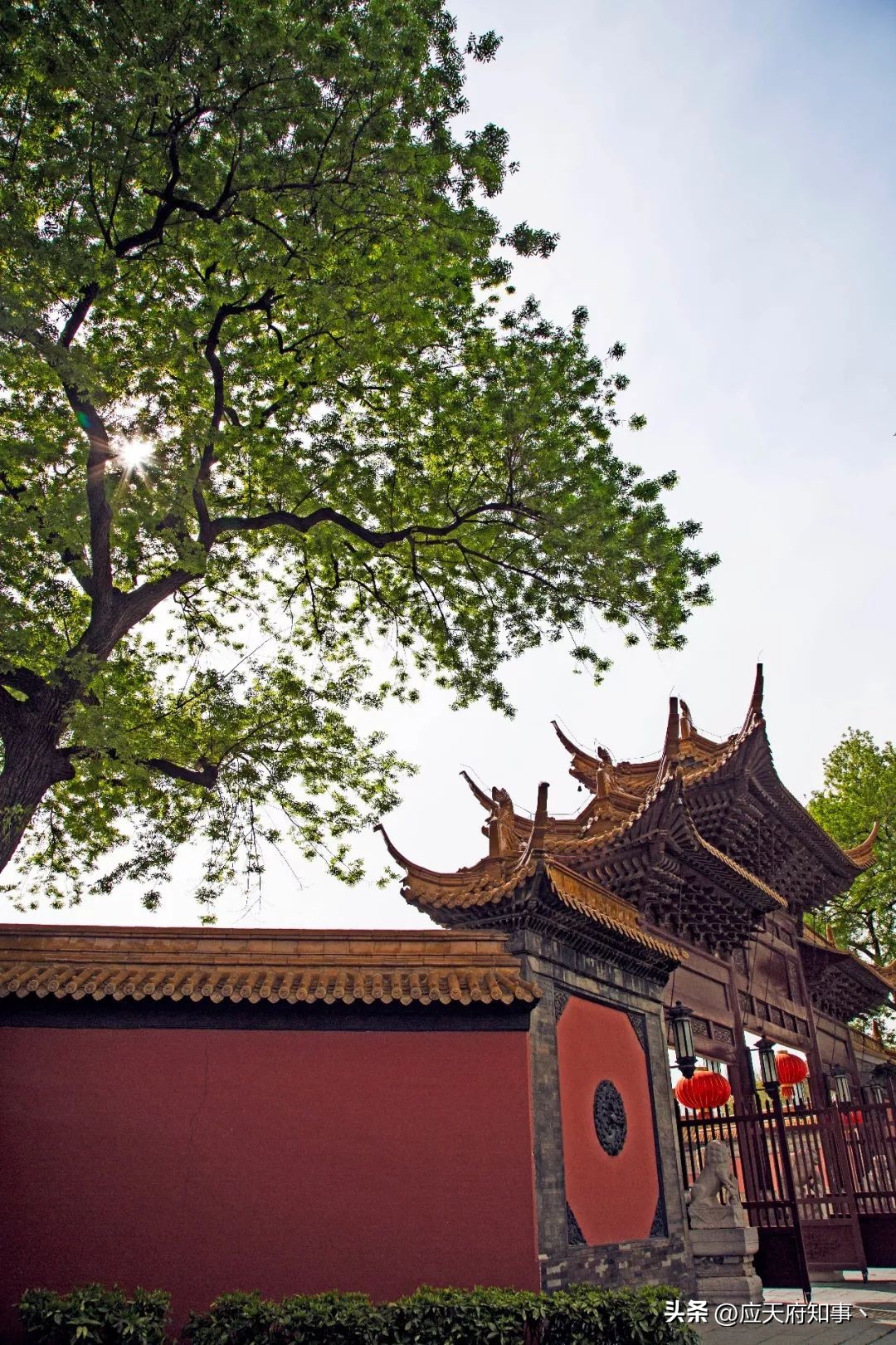 来南京不能错过的小众打卡地,南京江宁小众打卡点