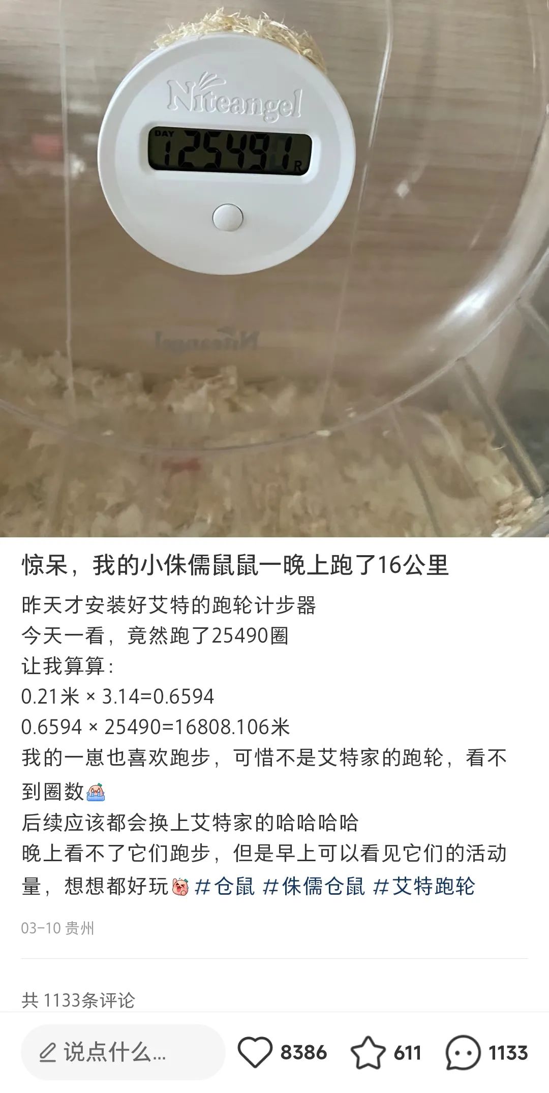 对标b站的新软件,和b站齐名的app