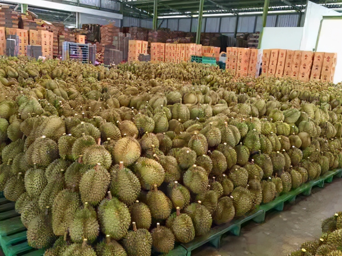 rcep涉及的农产品白糖,rcep农产品贸易政策