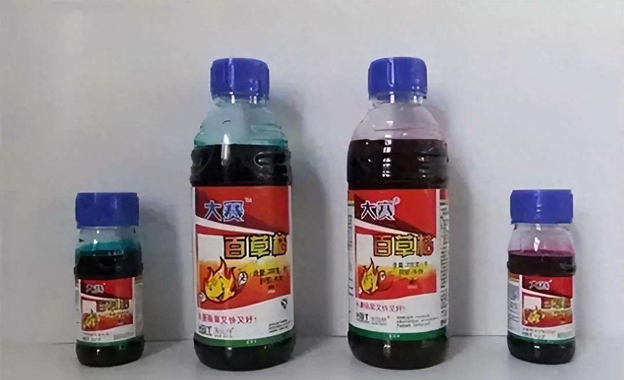 死而复生：男子喝百草枯自杀，葬礼上神秘复活！