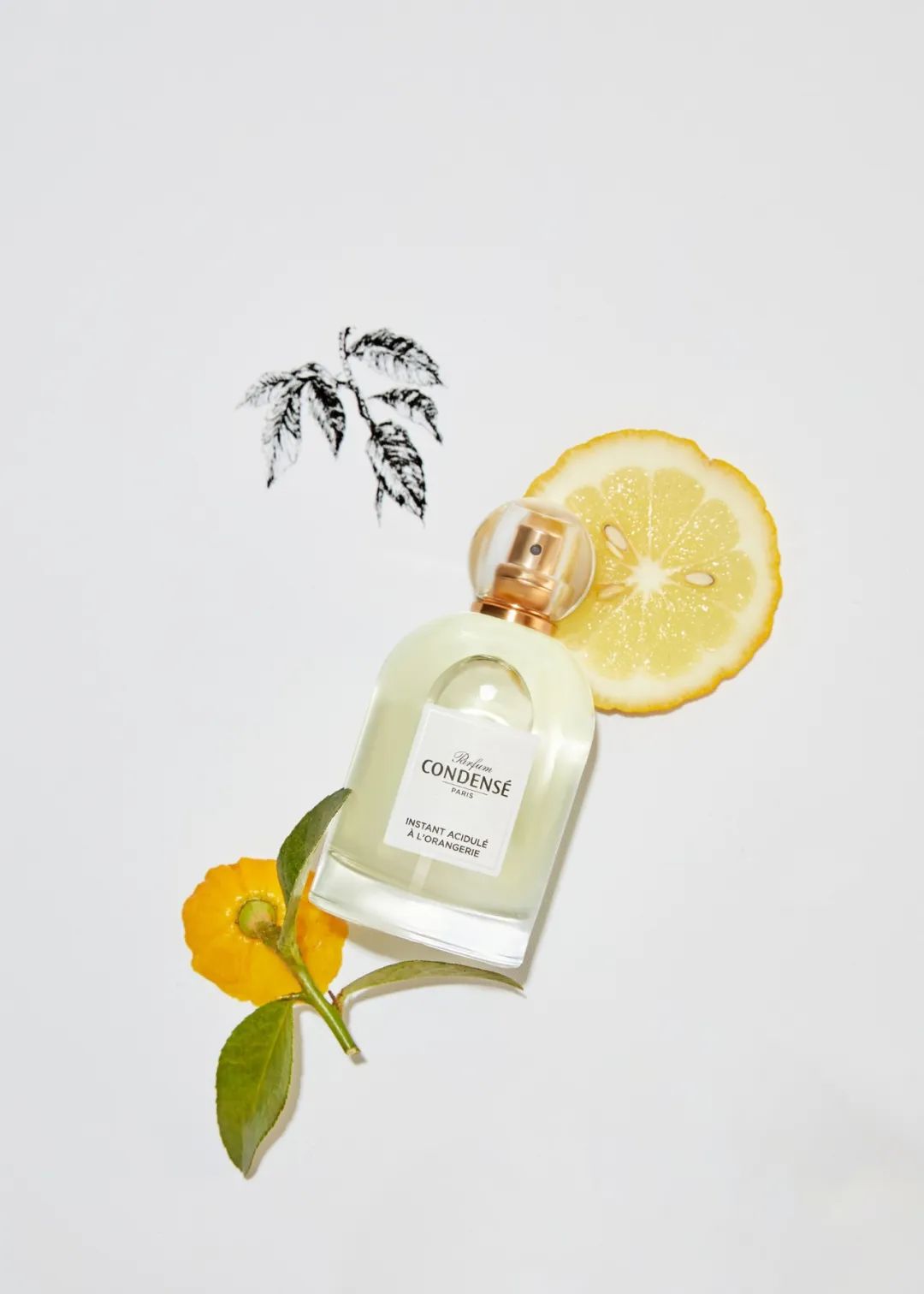 法国珂蒂丝包装,法国珂蒂丝雕塑精华