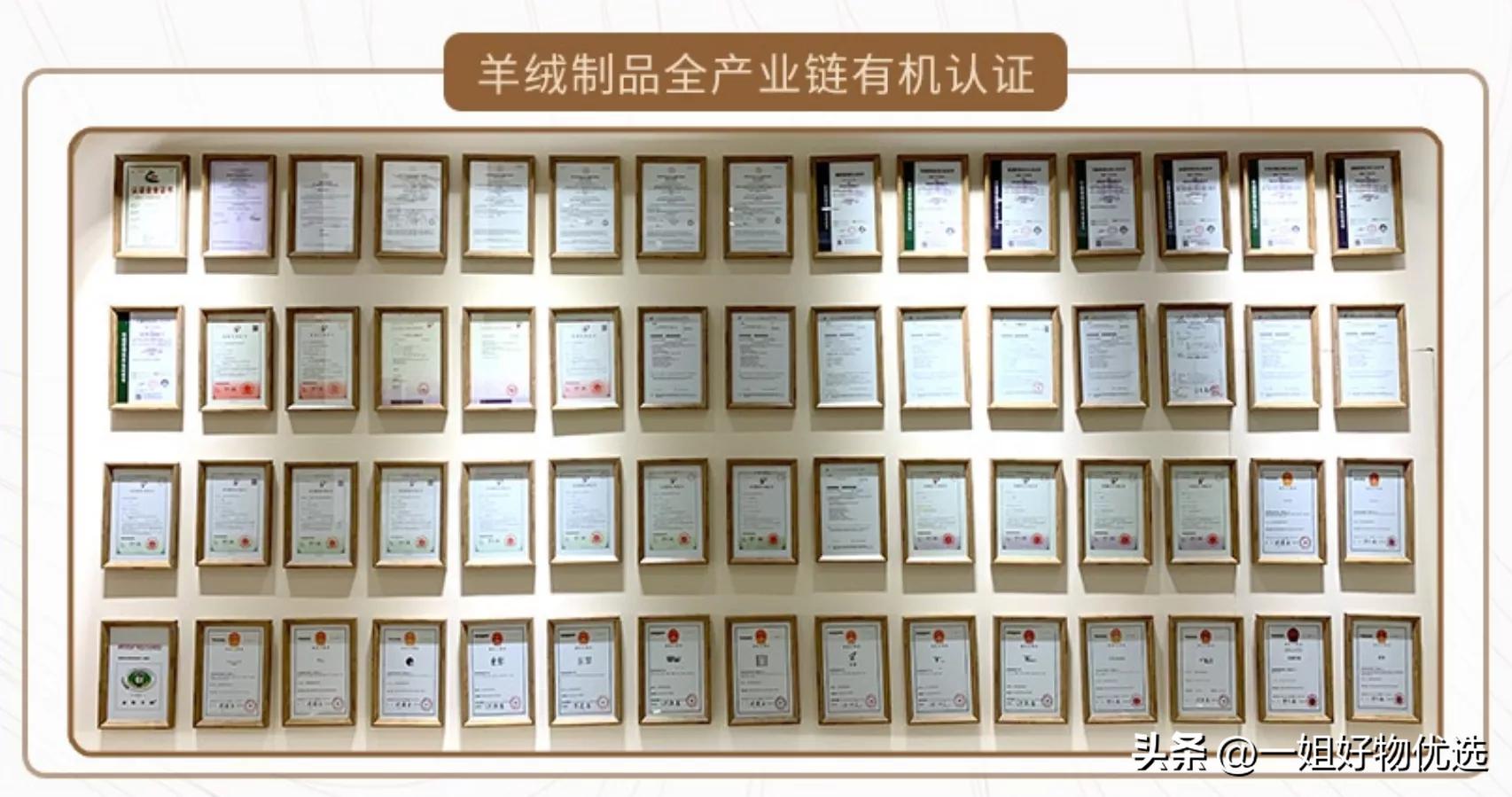 羊绒围巾哪个牌子最好,什么牌子的羊绒围巾比较好穿女装