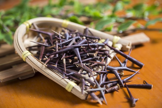 中医讲皮肤瘙痒是什么原因,血虚生风皮肤瘙痒中医方剂