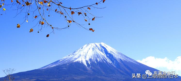 日本永驻后可以免签去哪些国家,日本最新三年免签规定时间