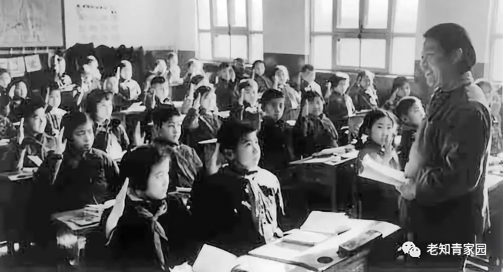 50年代的少年,50年代的人成长经历