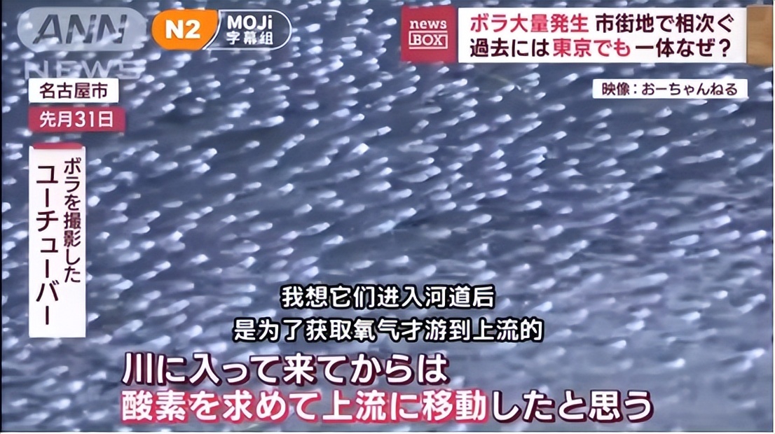 日本的地震前反常现象,揭秘日本地震来临有哪些应对措施