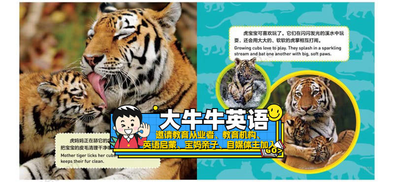 Tigers3~6岁英语启蒙绘本