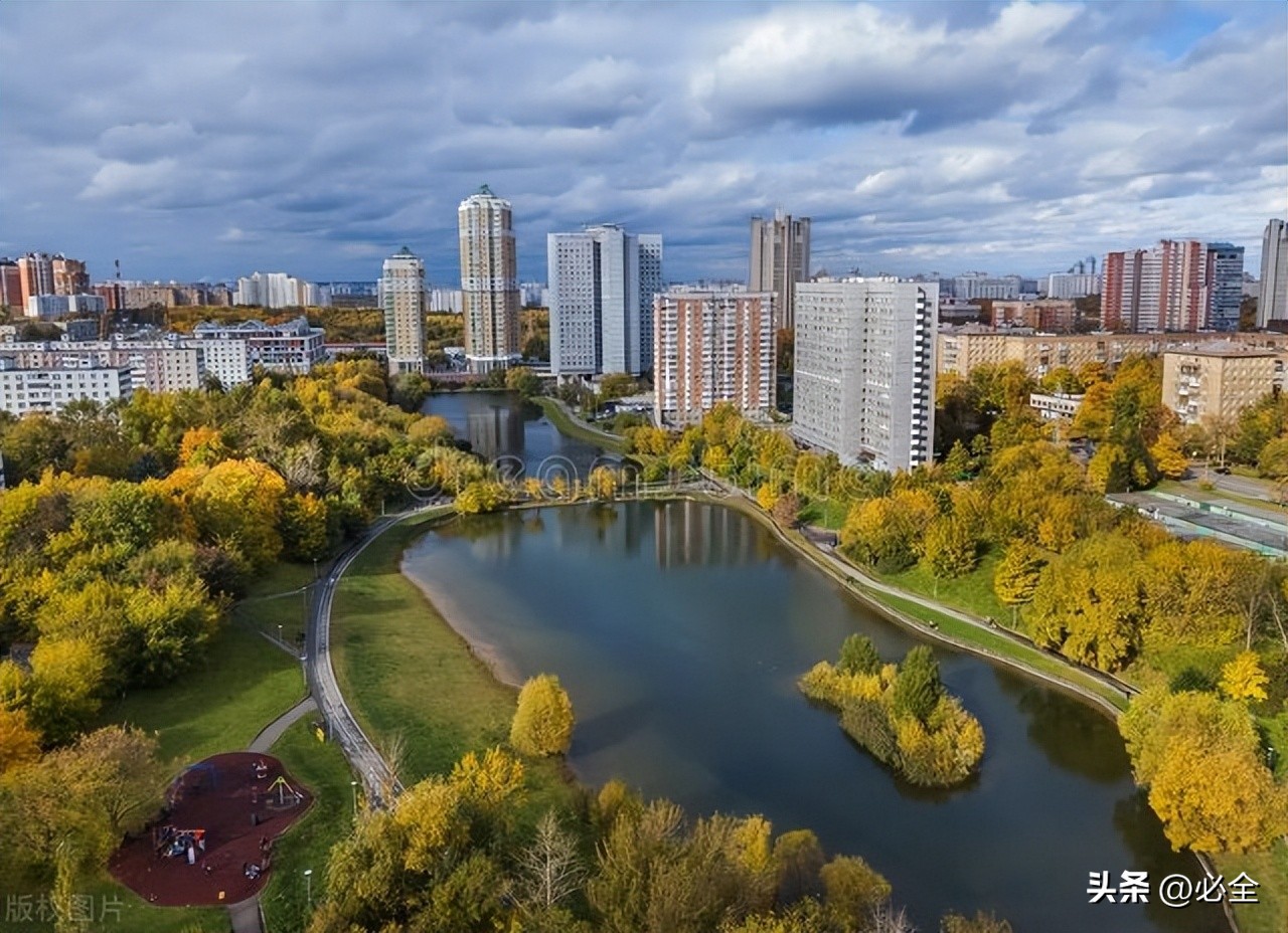 城乡环境保护林建设主要适宜乔木、灌木、草种；详表