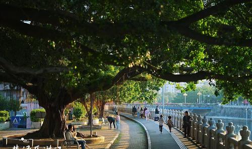 张译微博最新信息,张译微博最新消息