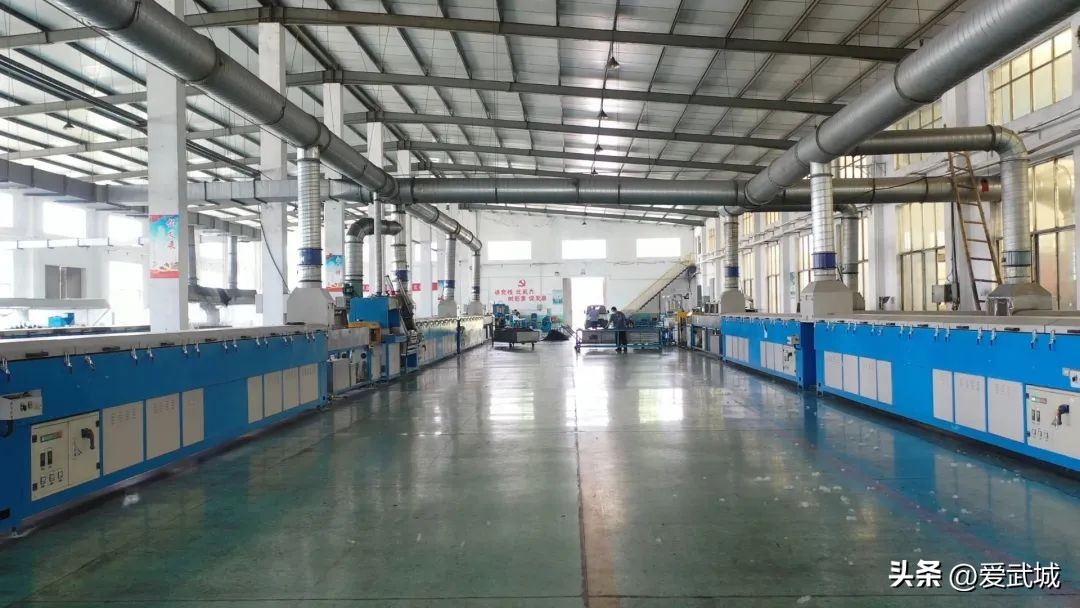 打好全年“收*战官**”！武城这样做……