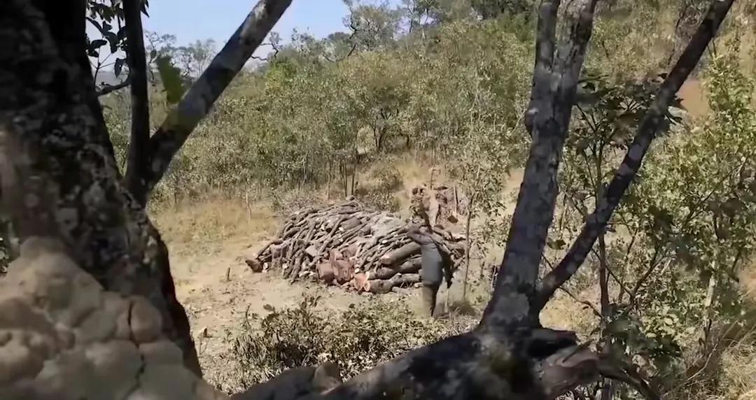 绝望的非洲生活：老鼠当主食，月收入不足50元还要养活三个娃