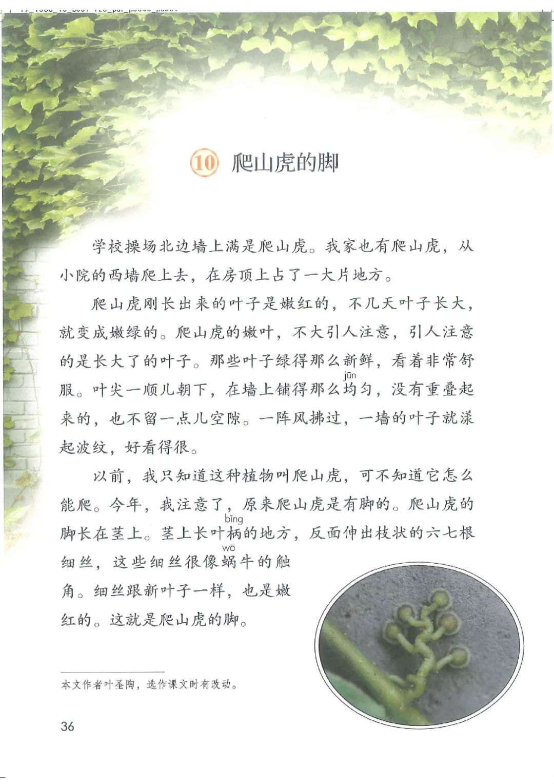 暑假预习教材推荐人教版,四年级上册语文课本人教版完整版