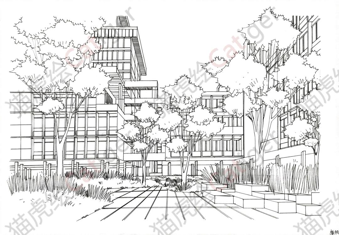 猫虎画,猫虎绘画