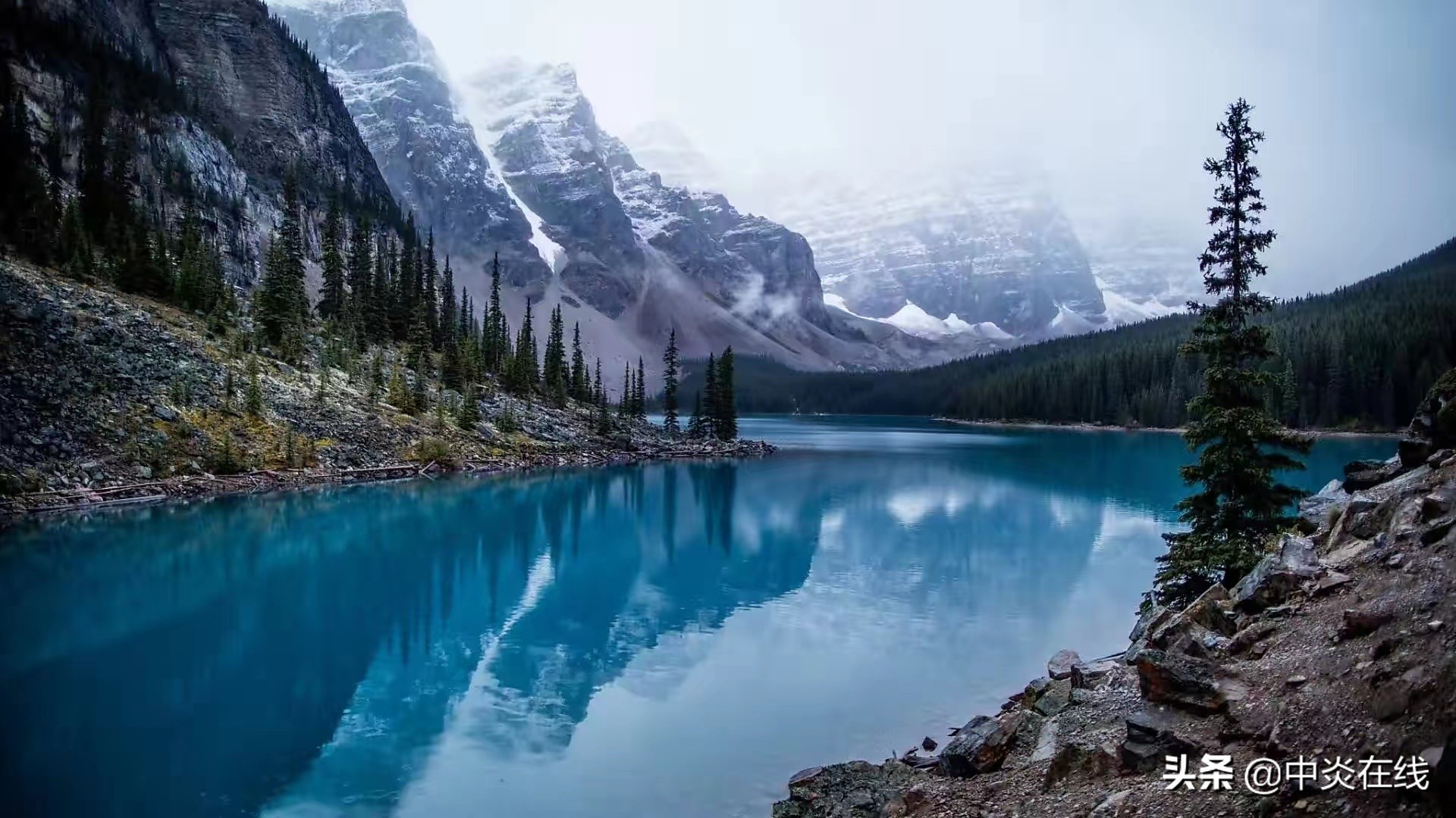 女生读职高什么专业有前途,女生读职高学什么最好呢