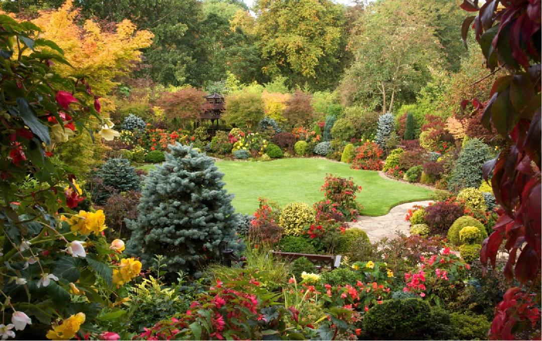 那些被我们忽略的风景,球球景观