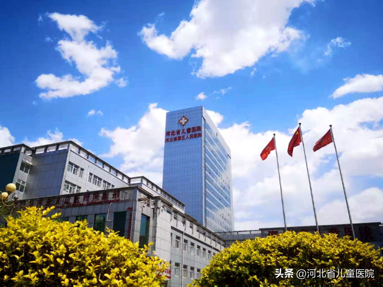 河北省儿童医院就医须知,去河北省儿童医院看病流程