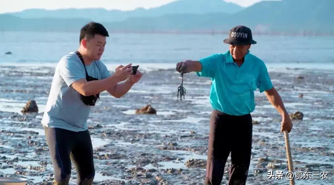 渔民儿子直播,赶海父子直播带货黄花鱼