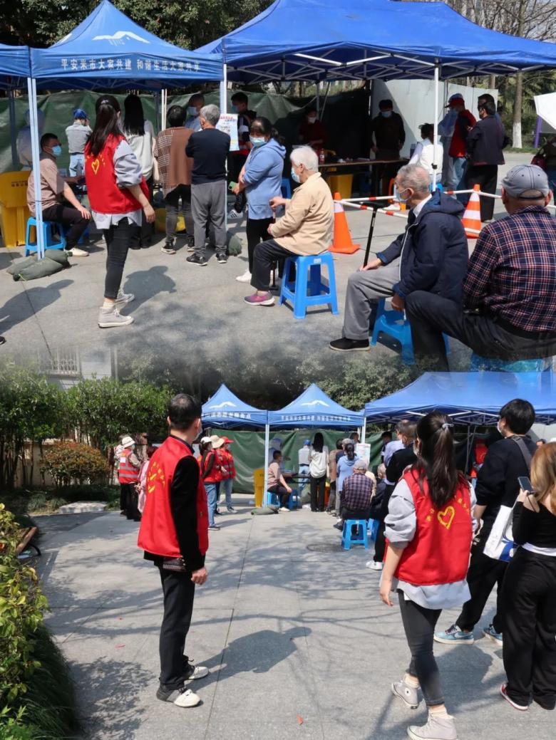 浙江省文化和旅游信息推广,文化旅游青年志愿服务