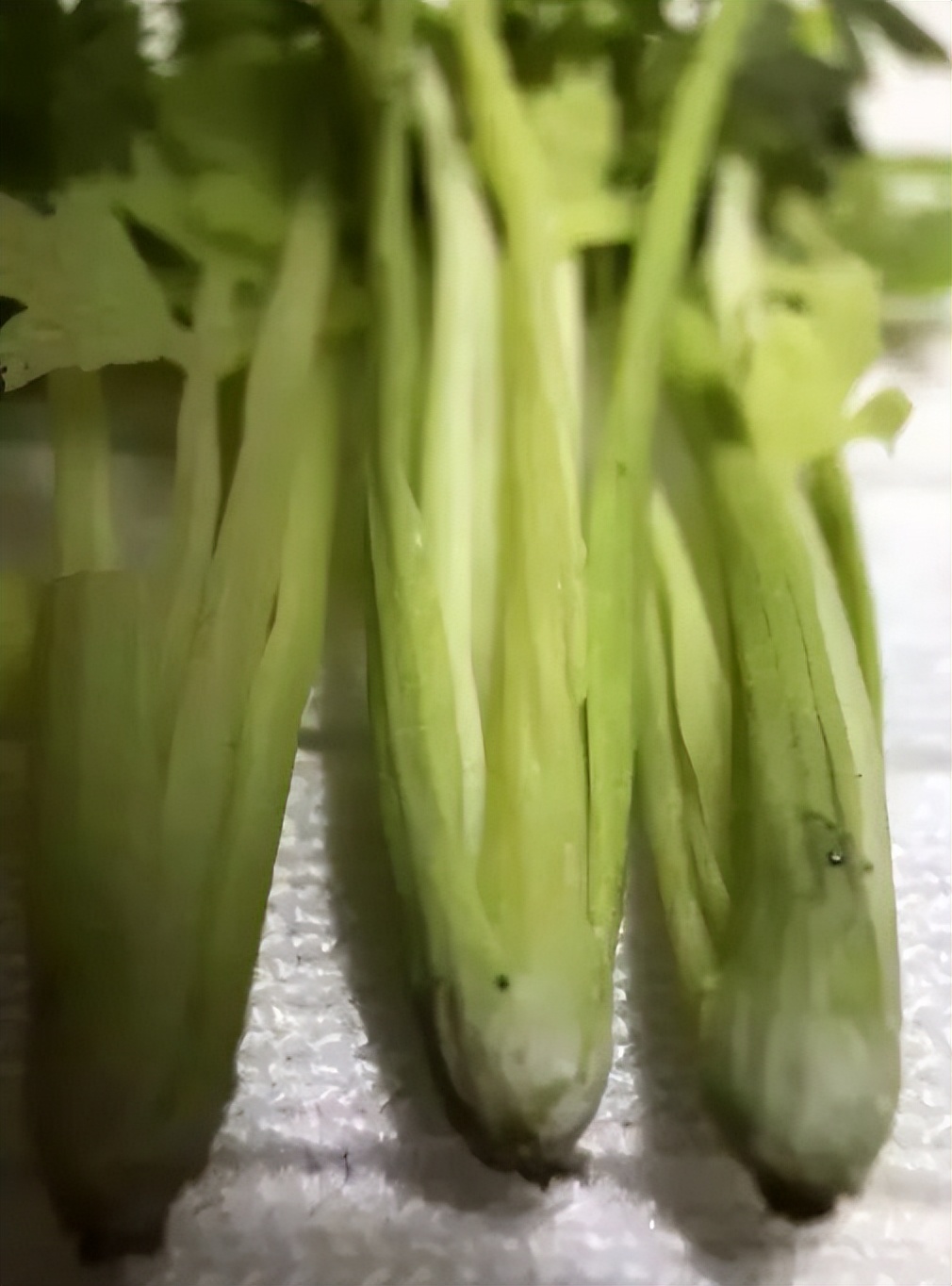 90后妈妈因造假走红,网红辣妈骗局