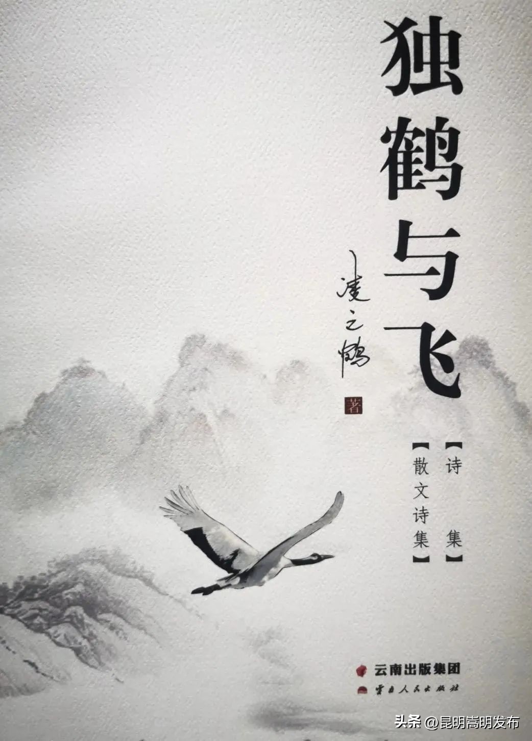 世界读书日昆明举行,世界读书日文艺活动