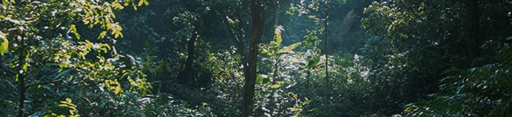 好茶上新活动价,好茶欢迎来品鉴